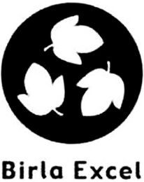 BIRLA EXCEL logo