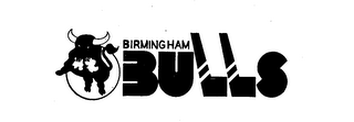 BIRMINGHAM BULLS logo
