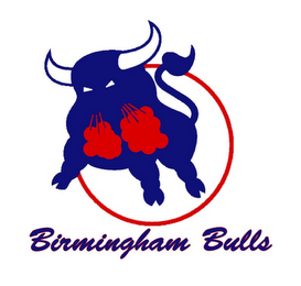 BIRMINGHAM BULLS logo