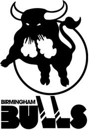BIRMINGHAM BULLS logo