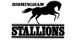 BIRMINGHAM STALLIONS logo