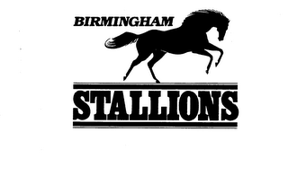 BIRMINGHAM STALLIONS logo