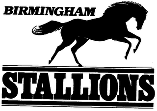 BIRMINGHAM STALLIONS logo