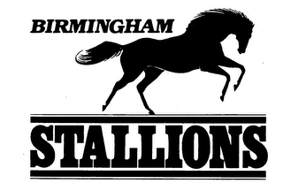 BIRMINGHAM STALLIONS logo