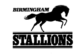 BIRMINGHAM STALLIONS logo
