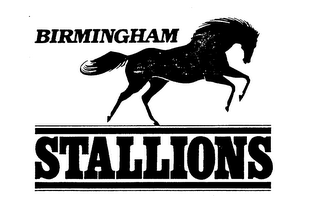 BIRMINGHAM STALLIONS logo