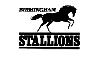 BIRMINGHAM STALLIONS logo