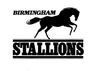 BIRMINGHAM STALLIONS logo