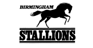 BIRMINGHAM STALLIONS logo