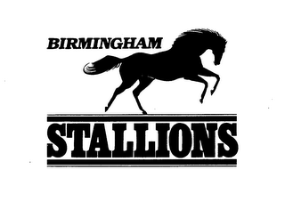 BIRMINGHAM STALLIONS logo