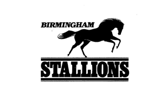 BIRMINGHAM STALLIONS logo