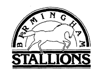 BIRMINGHAM STALLIONS logo