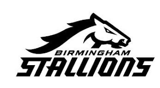BIRMINGHAM STALLIONS logo
