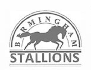 BIRMINGHAM STALLIONS logo