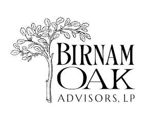 BIRNAM OAK ADVISORS, LP logo