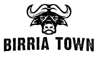 BIRRIA TOWN logo