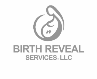 BIRTH REVEAL SERVICES, LLC logo