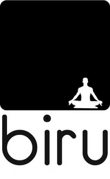 BIRU logo
