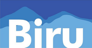 BIRU logo
