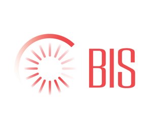 BIS logo
