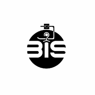 BIS logo