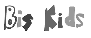 BIS KIDS logo