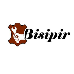 BISIPIR logo