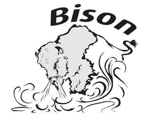 BISON logo