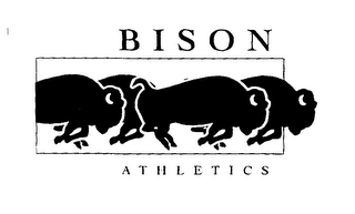 BISON ATHLETICS logo