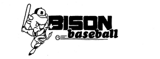 BISON BASEBALL logo