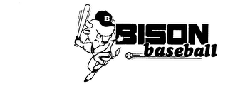BISON BASEBALL logo