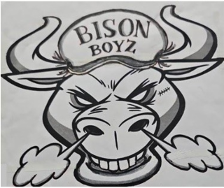 BISON BOYZ logo
