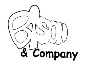 BISON & COMPANY logo