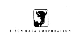 BISON DATA CORPORATION logo