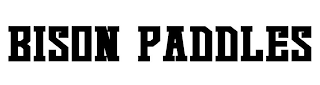 BISON PADDLES logo