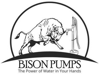 BISON PUMP THE POWER OF WATER IN YOUR HANDS logo