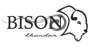 BISON THUNDER logo