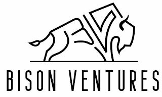 BISON VENTURES logo