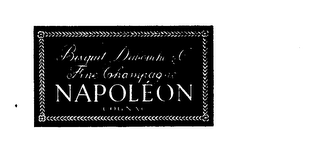 BISQUIT DUBOUCHE & CO FINE CHAMPAGNE NAPOLEON COGNAC logo