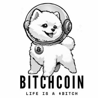 BITCHCOIN LIFE IS A $BITCH logo