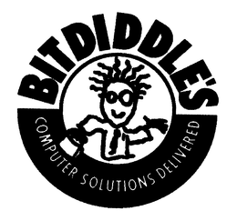 BITDIDDLE'S COMPUTER SOLUTIONS DELIVERED logo