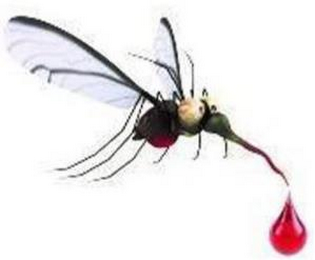 BITE-FREE BACKYARD LLC MOSQUITO, FLEA &TICK CONTROL logo