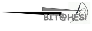 BIT@HES! logo