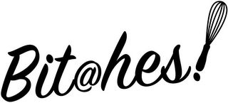 BIT@HES! logo