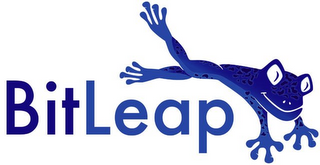 BITLEAP logo