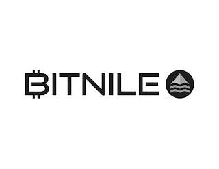 BITNILE logo
