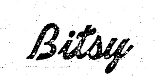BITSY logo