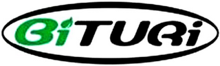 BITURI logo