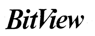 BITVIEW logo