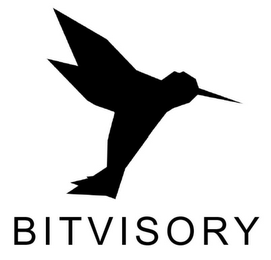 BITVISORY logo